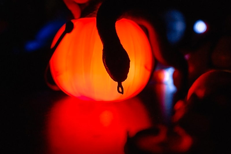 Украшение дома паутиной и летучими мышами к Хэллоуину в Алматы